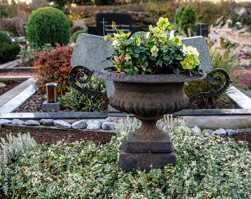 Pflanzgefäß aus Gusseisen mit schönen Herbstblumen