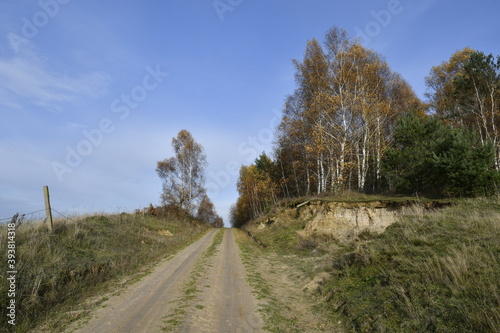 
A wonderful Kashubian dirt road