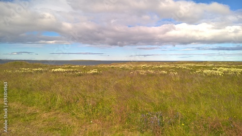 Island, Sommer, Wiesen, grün