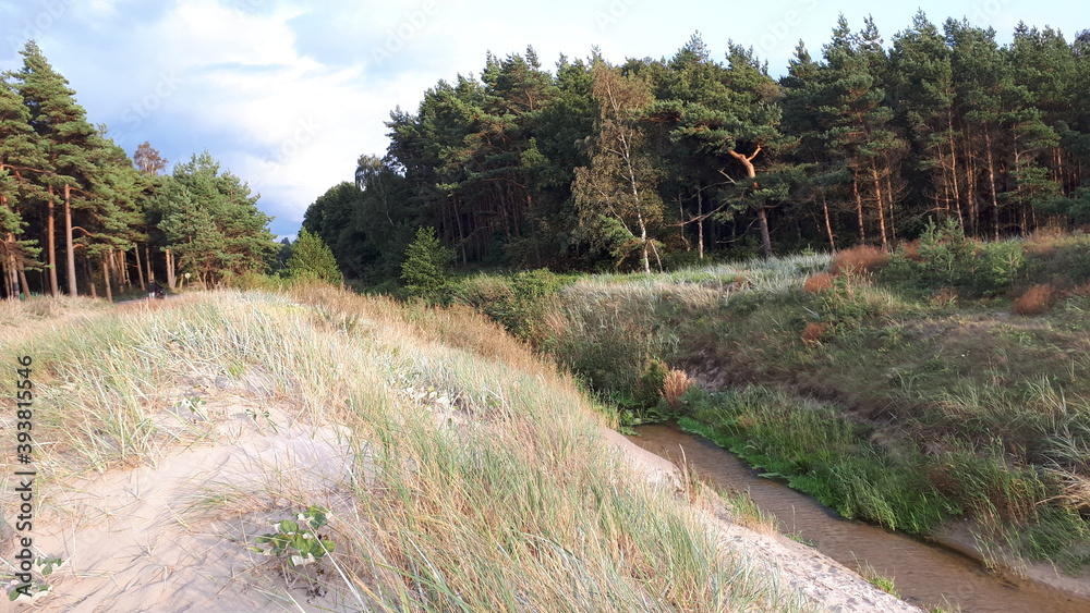 Fototapeta premium An der Ostseeküste zwischen Litauen und Lettland 10