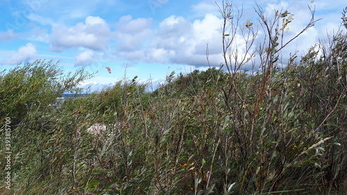An der Ostseeküste zwischen Litauen und Lettland 4