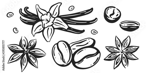 spices for hot drinks. vanilla, coffee beans, star anise