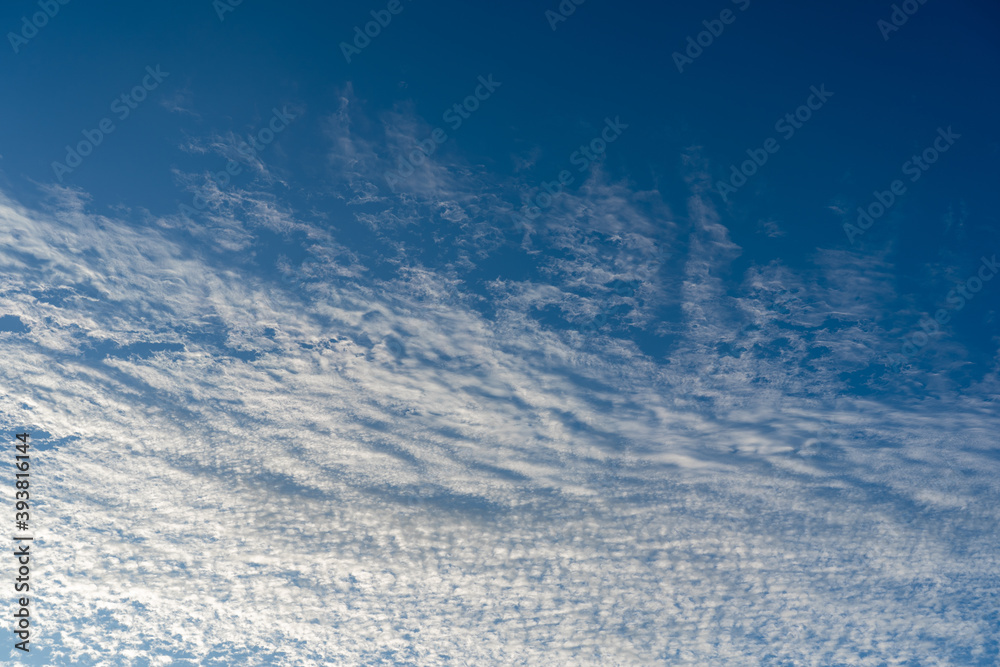 Fototapeta premium 秋の朝の空