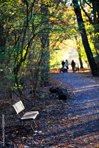 Bench in park Kralingse Bos in Rotterdam with a family in the background in autumn photo