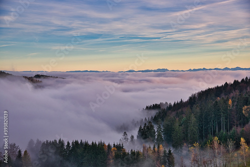 Landschaftsaufnahme eines nebeligen Waldes unter blauem Himmel mit einem Alpenkamm am Horizont  © Stefan