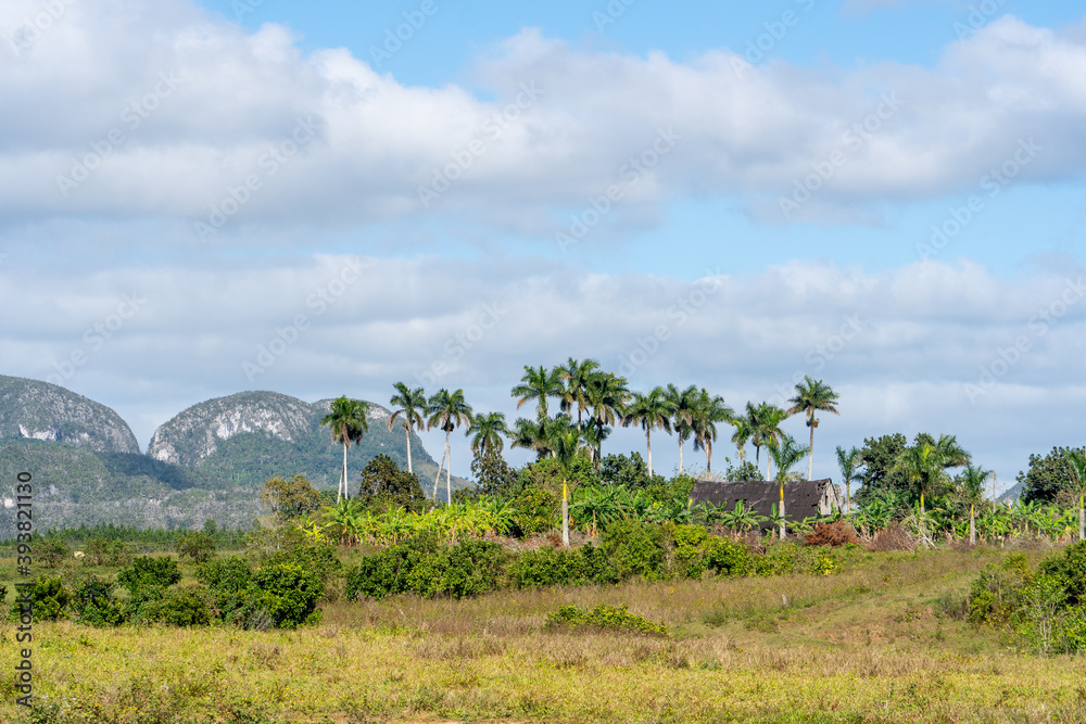 Fototapeta premium landscape with trees and clouds, San Andrés, Cuba 