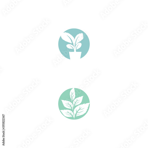 Leaf Mint Logo Template vector symbol