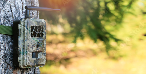 Canvas Print Camera trap or photo cameras mounted on  tree in  forest for wild animals location monitoring