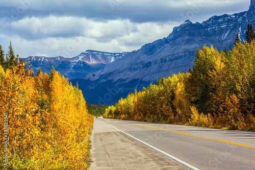  Northern autumn