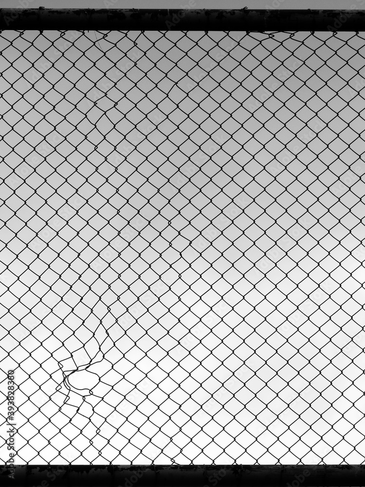 Fototapeta premium Decorative wire mesh of fence with hole