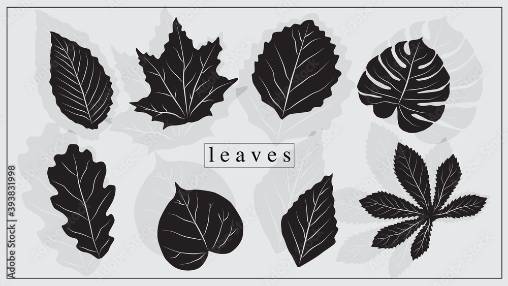 Vector illustration of leaves of plants and trees in black color. EPS 10.