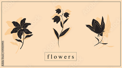 Vector illustration of decorative flowers and plants in black. EPS 10