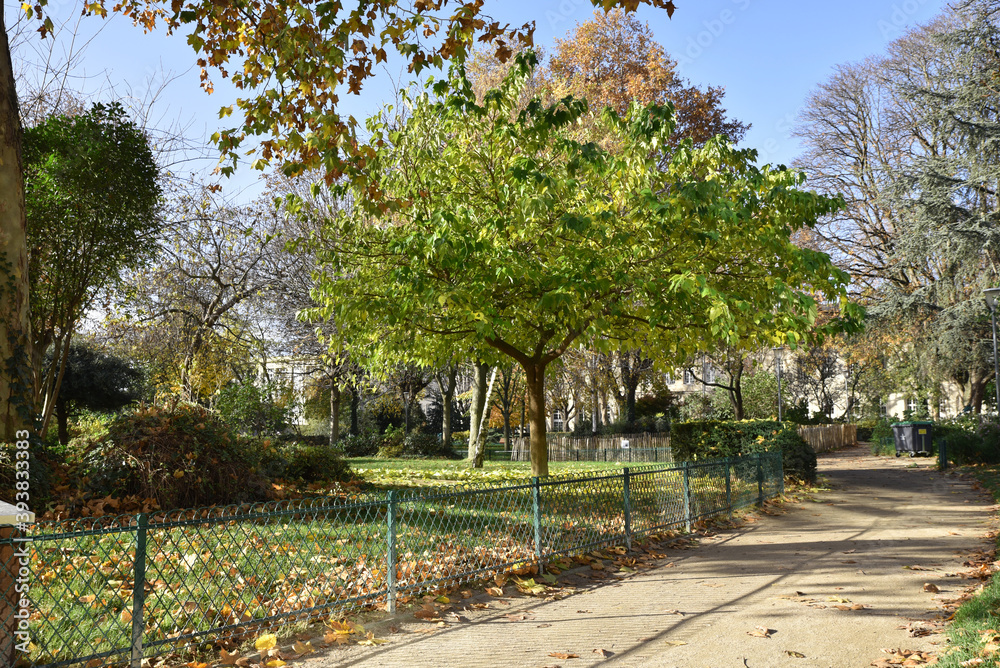 Jardin en automne