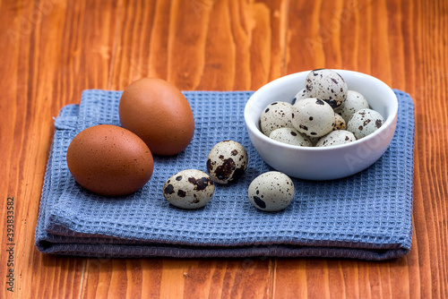 Raw chicken eggs and small quail eggs on blue kitchen cloth. Chicken and quail eggs rustic background.