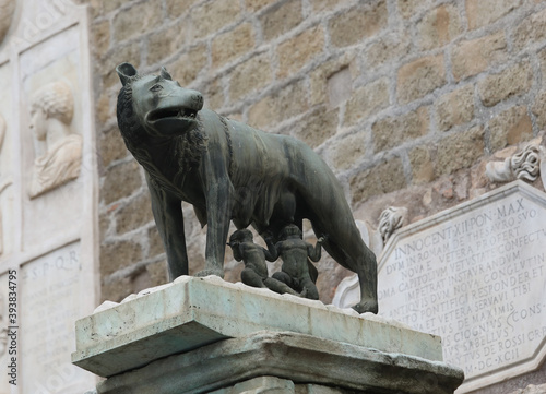 Rome, RM, Italy - March 5, 2019: statue of the she-wolf nursing
