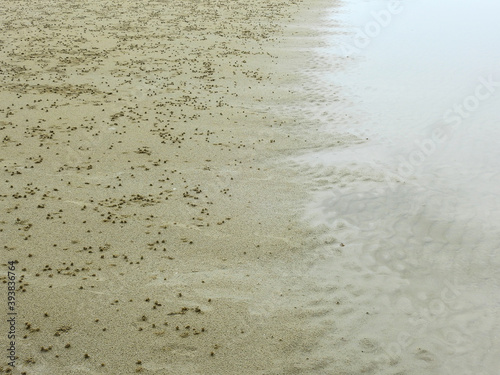 Crab hole on sand beach at Pranburi, Prachuap Khiri Khan, Thailand - habitat of ghost crab ( Ocypode ceratophthalmus ) at low tide photo