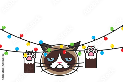 Grumpy cat surrounded by christmas lights on white