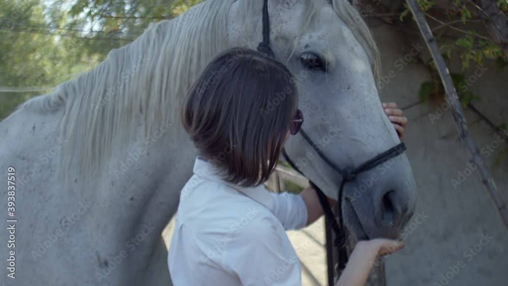Joyful woman touching white horse outdoors Joyful woman touching white horse outdoors