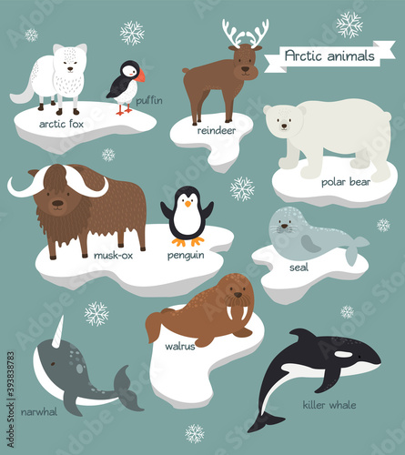 Arctic animals background set