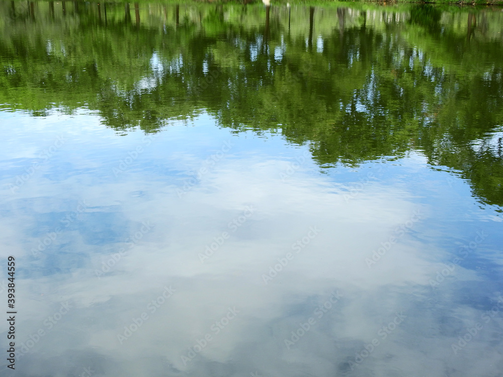 abstract reflection of tree on water with blue sky abstract reflection of tree on water with blue sky