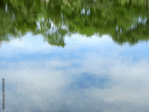 abstract reflection of tree on water with blue sky