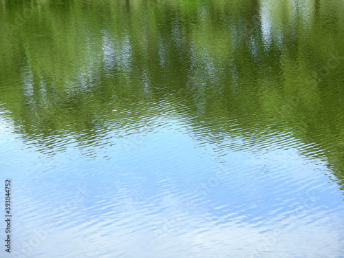 abstract reflection of tree on water with blue sky