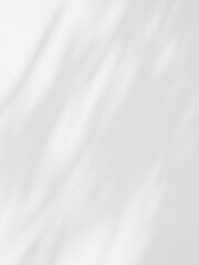abstract shadow of the leaves on a white wall background