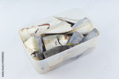 Top view of raw chub mackerels on a white background. 
