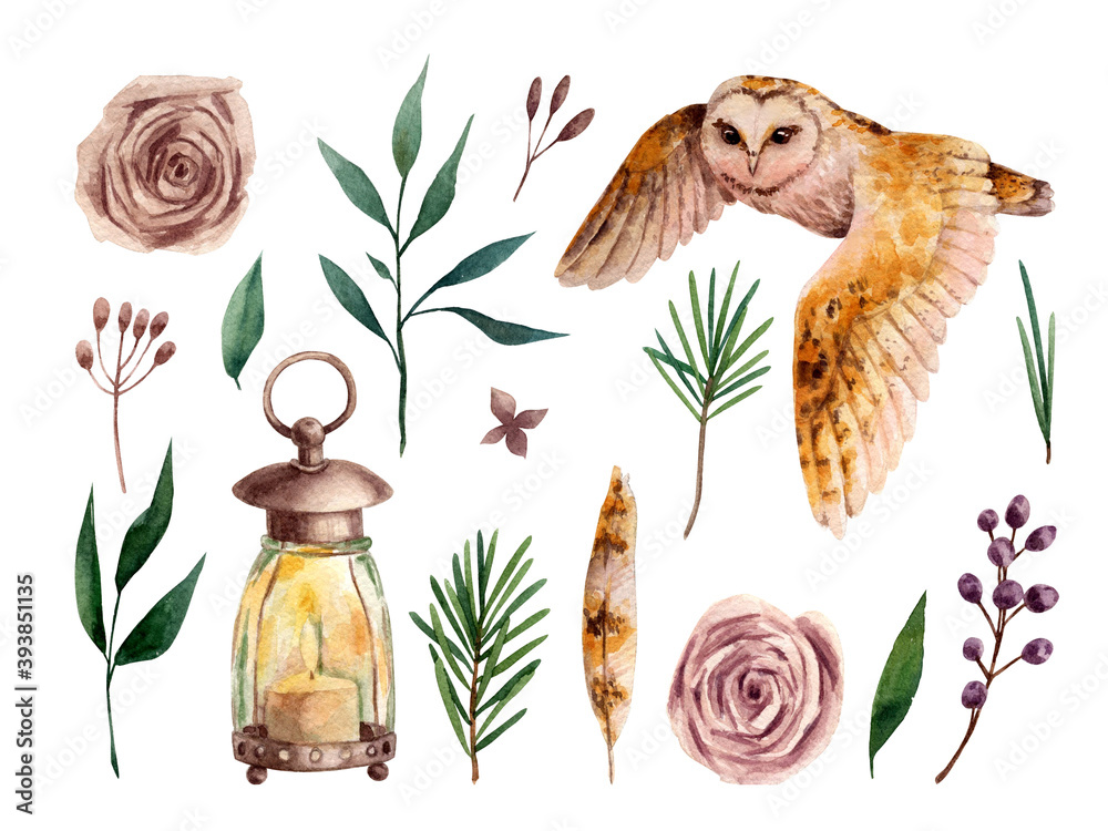Watercolor owl and flowers