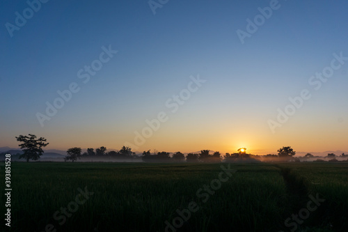 sunrise over the field © Champ