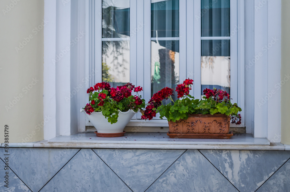 Flower pots on the window of the house Flower pots on the window of the house