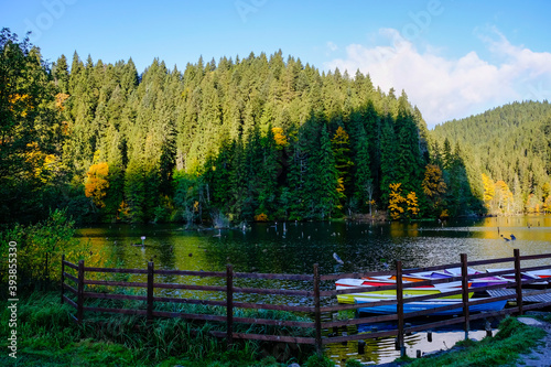 Nature landscape at Romania Lacu Rosu photo