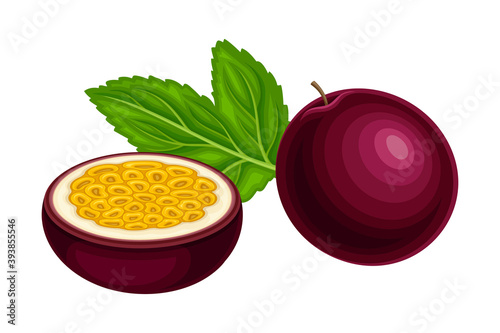 Halved Purple Passion Fruit with Thick Pith and Numerous Seeds Rested with Green Leaf Vector Illustration