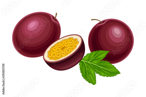 Halved Purple Passion Fruit with Thick Pith and Numerous Seeds Rested with Green Leaf Vector Illustration