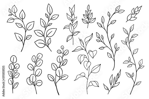 Vector hand drawn set of various silhouette branches with leaves in outline technique on the white background.
