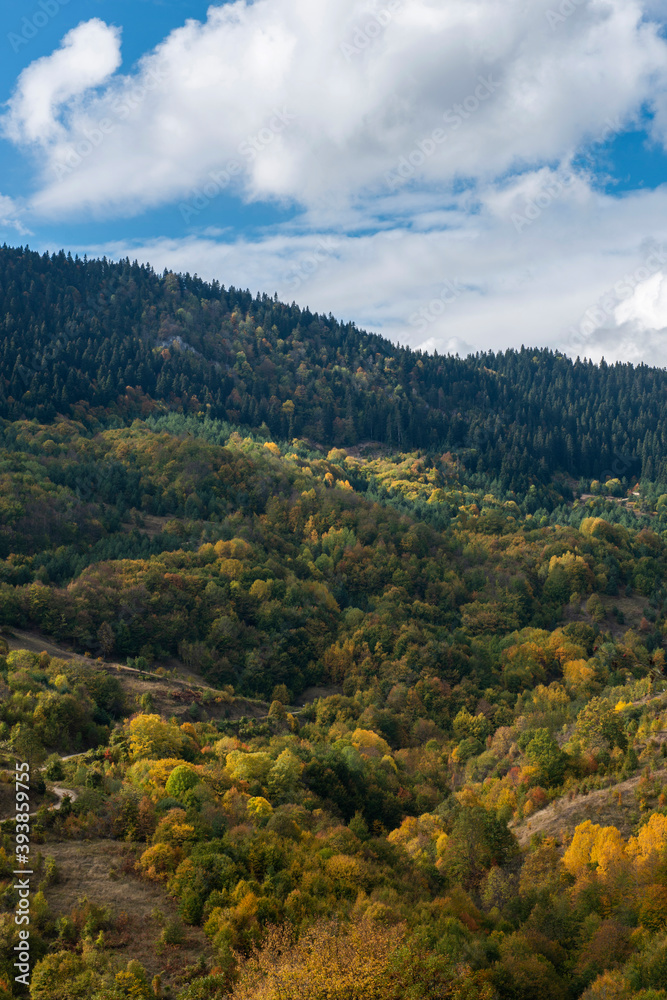 Autumn nature landscapes. ( wooden village houses ) Sinop, Turkey. Autumn nature landscapes. ( wooden village houses ) Sinop, Turkey.