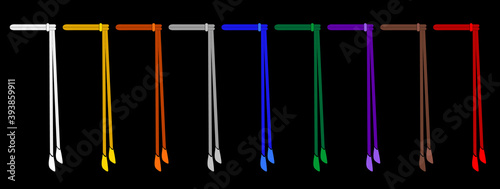 Capoeira belts