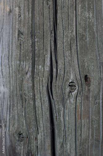 Close tree texture. Old grunge texture. Cracked wood.