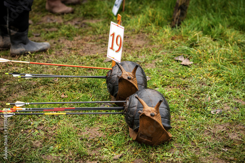 Close-up of two archery targets and arrows, fake snail animals above the green grass in autumn. photo