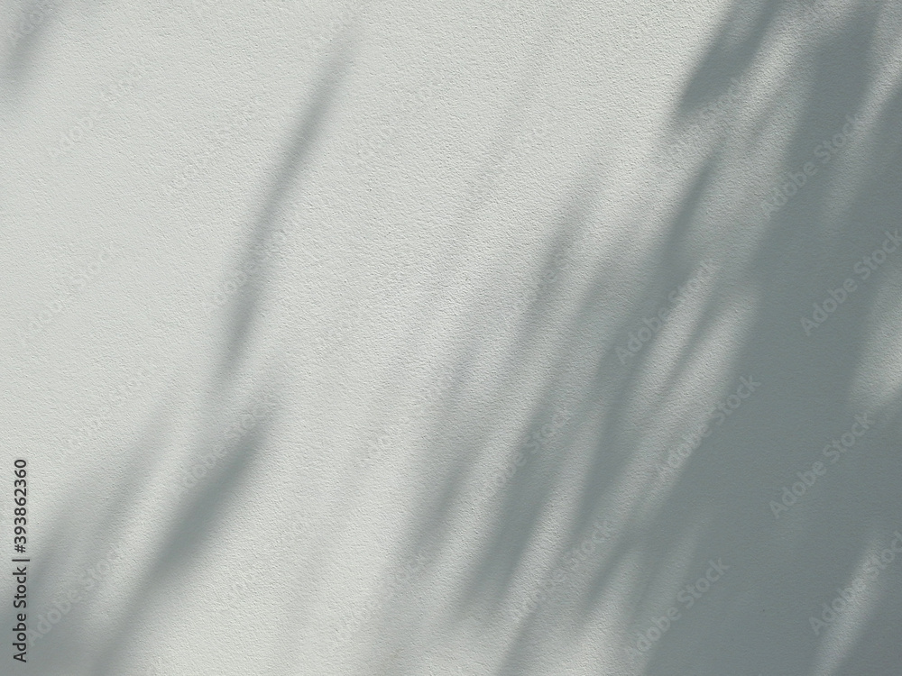 abstract shadow of leaves on white wall background abstract shadow of leaves on white wall background