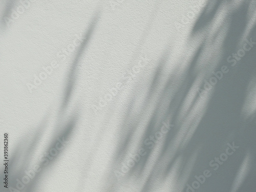 abstract shadow of leaves on white wall background