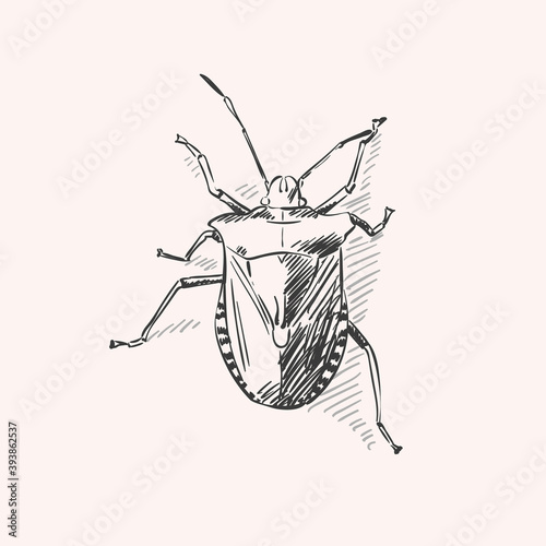bug