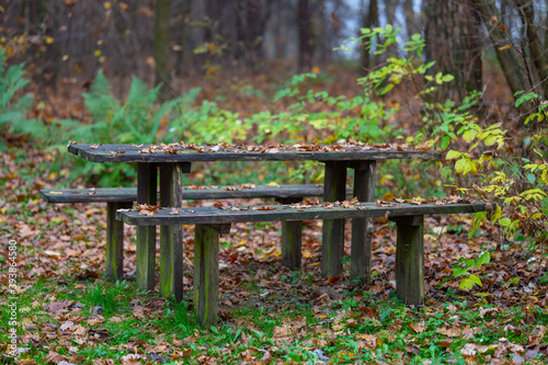 table and benches in the forest