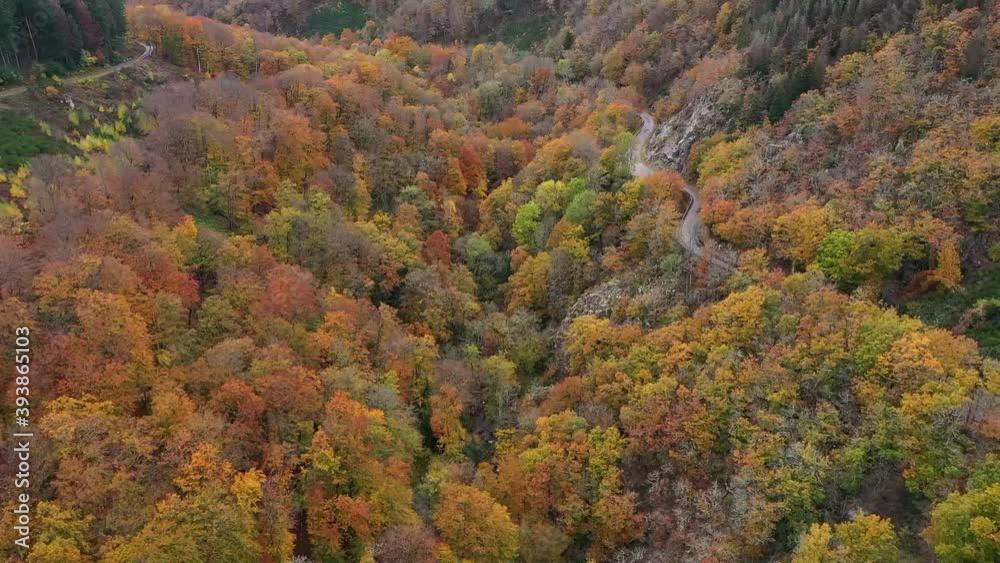 Gorges de la canches dans le Morvan