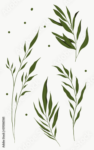 Vector hand drawn set of various silhouette branches with green leaves in flat style isolated on the white background.