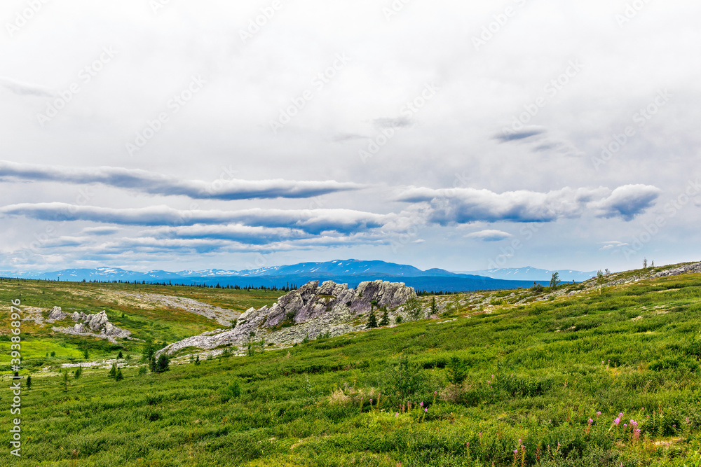 green meadow with a ridge of gray rocks