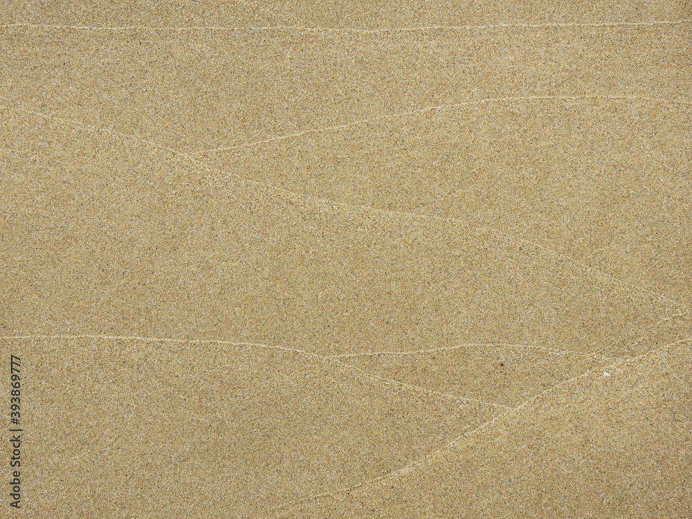 Fototapeta premium wet sand on the beach after low tide, texture background
