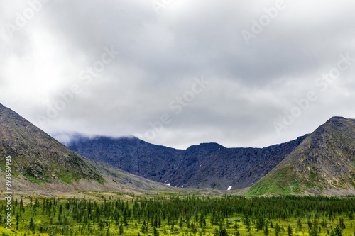 valley and mountains in the subpolar urals on a summer day