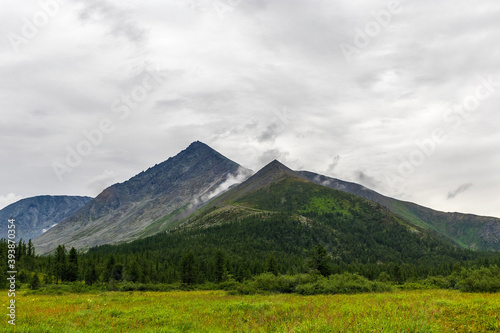 mountain peak over the forest on a rainy summer day
