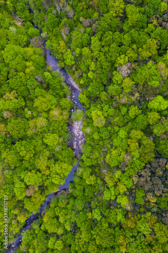 Forest in sprintime, Gándara river, Veguilla, Alto Ason, Soba Valley, Cantabria, Spain, Europe